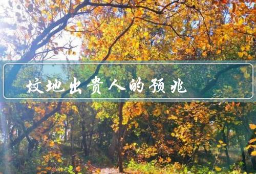 坟地出贵人的预兆，烟雾缭绕／花朵盛开／鸟儿鸣叫