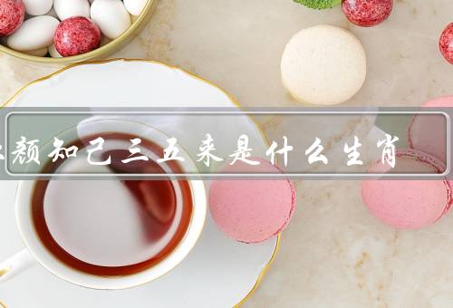 红颜知己三五来是什么生肖，鼠／虎／兔