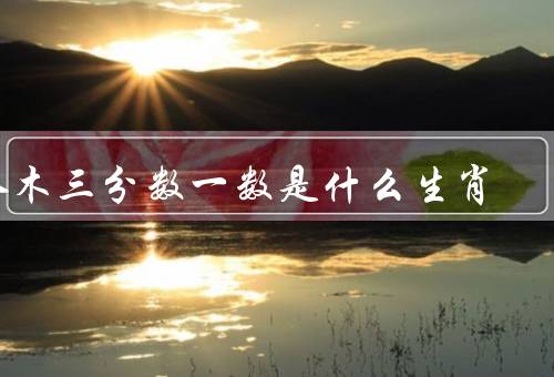 入木三分数一数是什么生肖（阴阳五行、生辰八字、入木三分数）