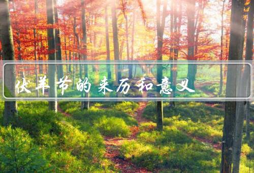 伏羊节的来历和意义，来历／意义／结语