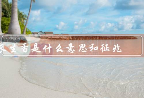 长生香是什么意思和征兆（含义／征兆／象征意义）