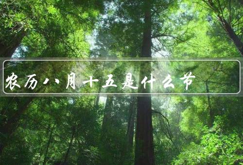 农历八月十五是什么节（起源、习俗、寓意）