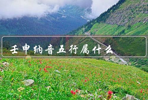 壬申纳音五行属什么（五行属性／个性特点／发展建议）