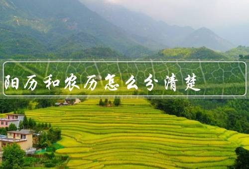 阳历和农历怎么分清楚（基本概念、特点、如何分辨）