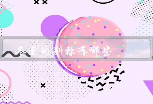 冬至的别称有哪些，冬节／亚岁／至日
