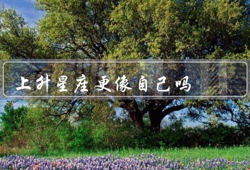 上升星座更像自己吗（意义、与个人特质、发展）
