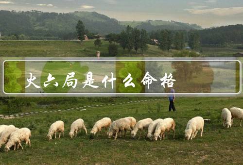 火六局是什么命格，特点／适宜职业／发展建议