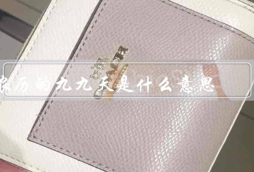 农历的九九天是什么意思，起源、意义、庆祝活动