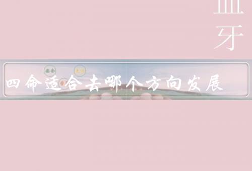 东四命适合去哪个方向发展，东四历史文化街区的保护与更新