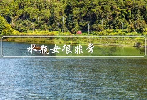 水瓶女贱很贱非常贱，叛逆心态／冷漠态度／自我中心