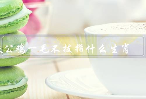 铁公鸡一毛不拔指什么生肖，属鸡人的特点／节俭的优点