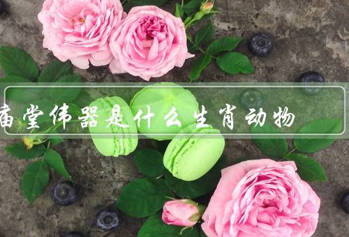 庙堂伟器是什么生肖动物（传说／象征意义／文化价值）