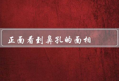 正面看到鼻孔的面相，大小／形状／位置