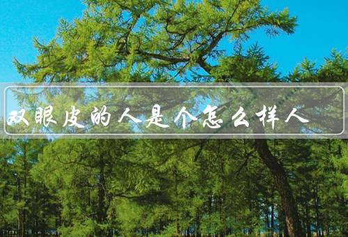 单双眼皮的人是个怎么样人（单眼皮、双眼皮）