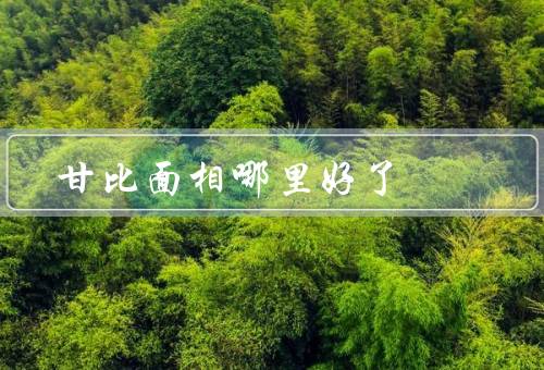 甘比面相哪里好了，细致入微／准确性／实用性