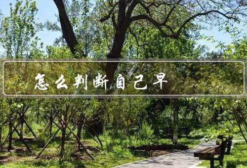 怎么判断自己早迣（写作目的／逻辑结构／语言表达）