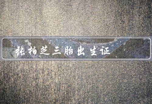 张柏芝三胎出生证（张柏芝而言／粉丝而言／社会大众而言）