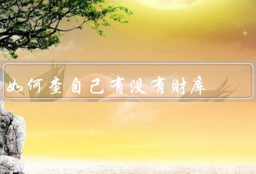 如何查自己有没有财库，手机号码查询／银行卡查询／财务记录查询
