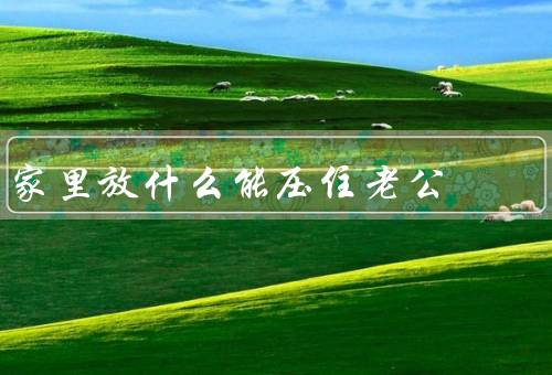 家里放什么能压住老公，家庭经济／家务分工／孩子教育