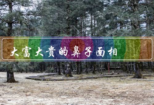 大富大贵的鼻子面相，高大、鼻梁挺直、肉厚