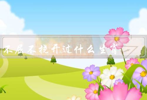 不屈不挠开过什么生肖，性格特点、事业发展、人际关系