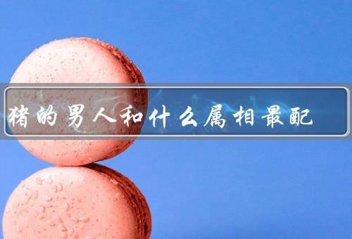属猪的男人和什么属相最配，属猪的男人、属兔的女人、最佳搭配