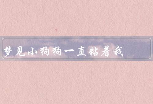 梦见小狗狗一直粘着我，到来