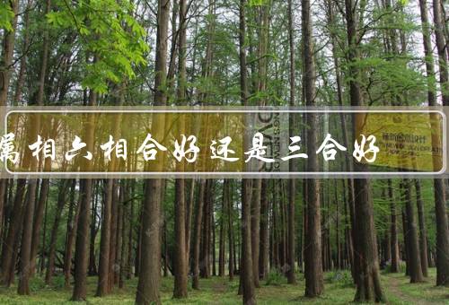属相六相合好还是三合好（六相合的好处／三合的好处／结论）