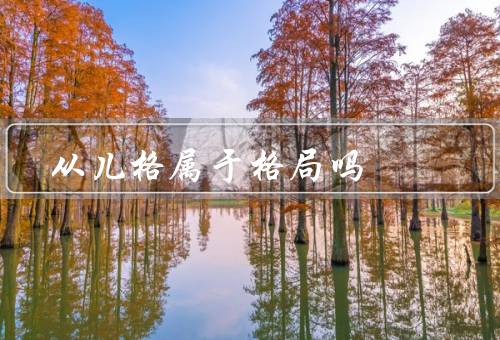 从儿格属于顶级格局吗（定义／作用／是否属于顶级格局）