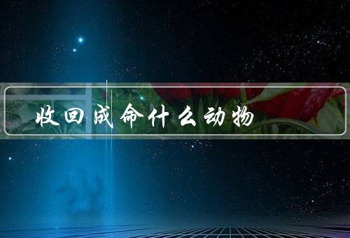 收回成命什么动物，蜥蜴／海星／蚂蚁