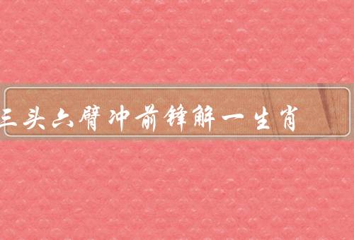 三头六臂冲前锋解一生肖，介绍／优点／应用