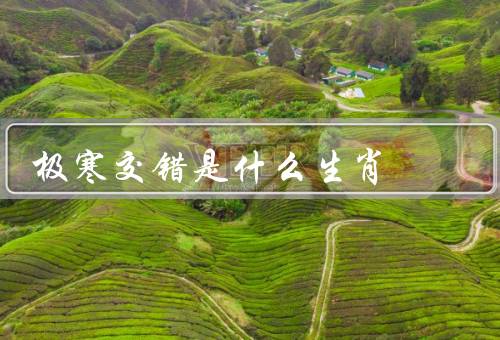 极寒交错是什么生肖（特点／象征意义／结语）