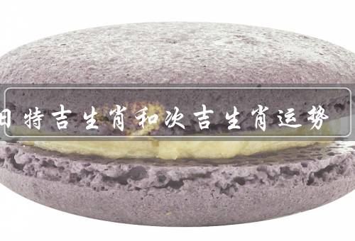 今日特吉生肖和次吉生肖运势（龙／马／鸡）