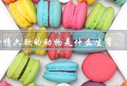 七情六欲的动物是什么生肖（喜对应的动物／怒对应的动物）