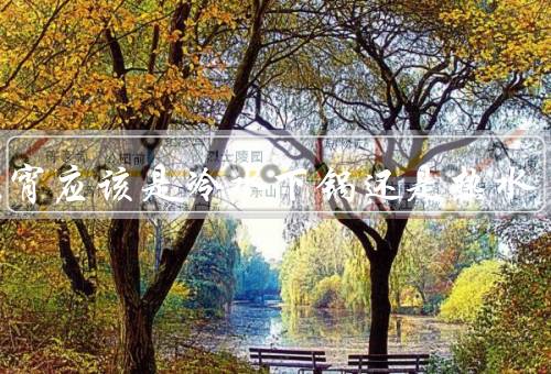 煮元宵应该是冷水下锅还是热水（冷水下锅、热水下锅、结论）