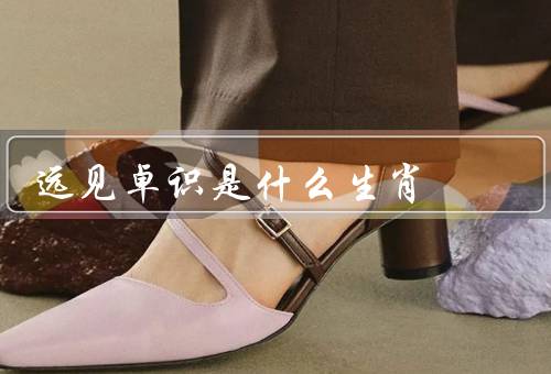 远见卓识是什么生肖（特点／表现／发展建议）
