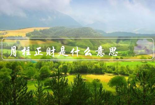 月柱正财是什么意思（含义／影响／总结）