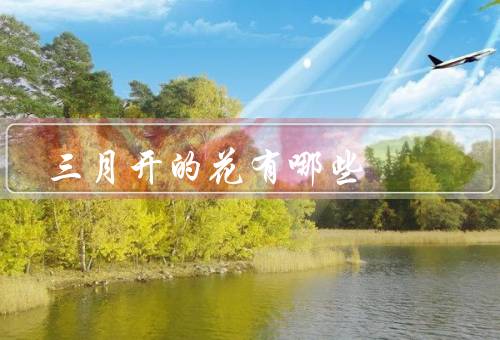 三月开的花有哪些，樱花／桃花／郁金香