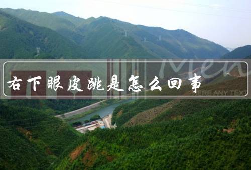 右下眼皮跳是怎么回事，眼肌疲劳／身体疲劳／压力过大