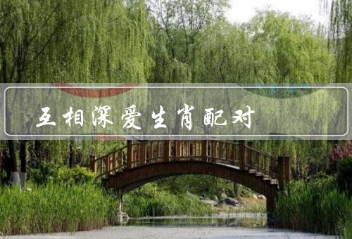 互相深爱生肖配对，鼠配牛、虎配兔、龙配蛇