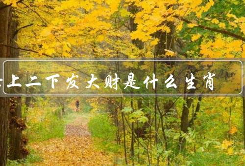 七上二下发大财是什么生肖（七上二下发大财、属猪和属牛的特点）