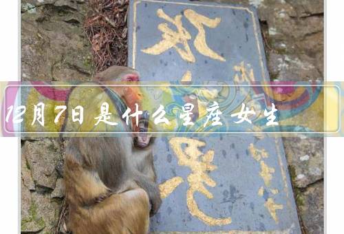 12月7日是什么星座女生（性格特点、职业发展、爱情观）