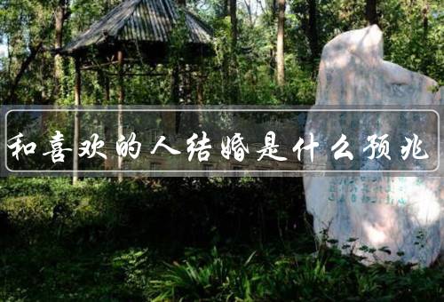 梦到和喜欢的人结婚是什么预兆（梦境的解读／可能的预兆）