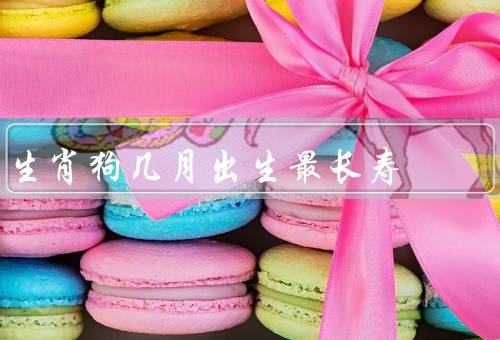 生肖狗几月出生最长寿（正月出生的狗／六月出生的狗）