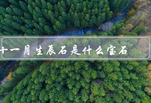 十一月生辰石是什么宝石（特点、功效、如何使用）