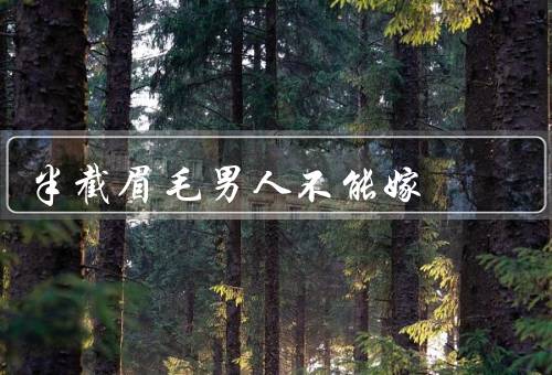 半截眉毛男人不能嫁（整体形象受损、眉毛形状不协调、个人修养不足）
