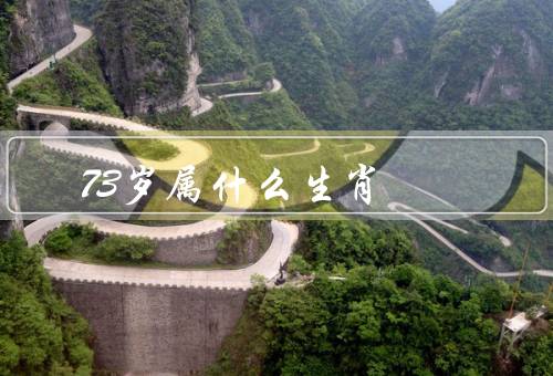 73岁属什么生肖，猴年生肖、人生阅历、人生态度