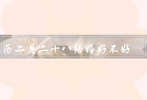 农历二月二十八结婚好不好，婚姻稳定度／后代福运／不利婚姻运