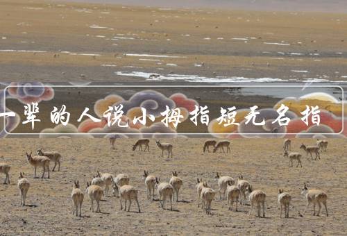 老一辈的人说小拇指短无名指，小拇指的长度与命运无关