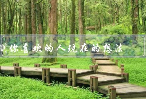 测你喜欢的人现在的想法，态度／关注点／行为